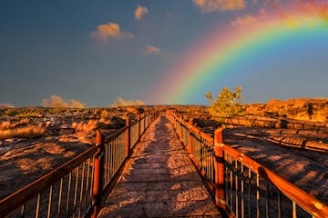 Colorful Color