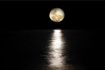 Dance In The Moonlight
