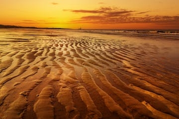 Gold Rush