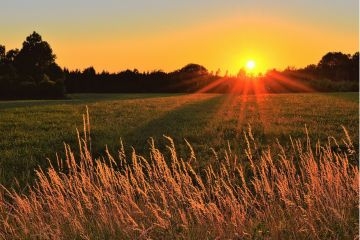 Rise and Shine