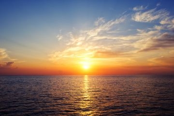 Rise