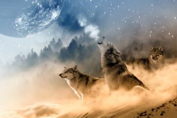 Untamed Beast