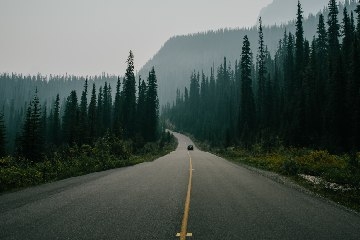 Wallpaper 21