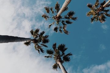 Wallpaper 36