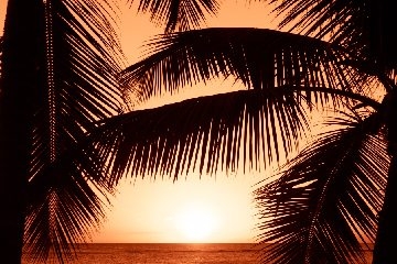 Wallpaper 37